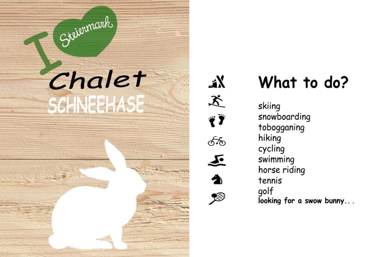 Chalet ?Snow Bunny? Stadl an der Mur 외부 사진