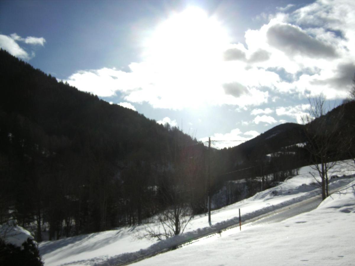 Chalet ?Snow Bunny? Stadl an der Mur 외부 사진